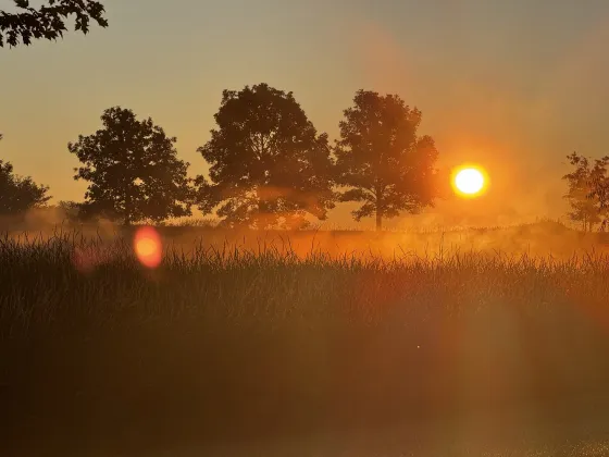 Photography: screenshot 1